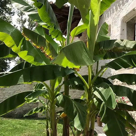 Bergerie Le Vieux Manoir * Valeilles