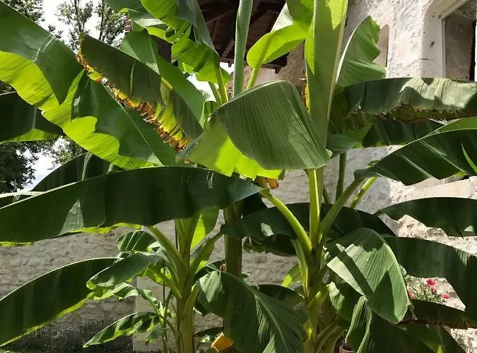 Bergerie Le Vieux Manoir * Valeilles